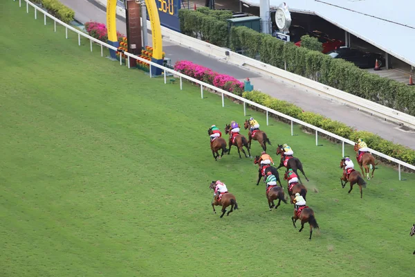 Giorno Happy Valley Racecourse — Foto Stock