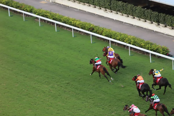 Día Hipódromo Happy Valley — Foto de Stock