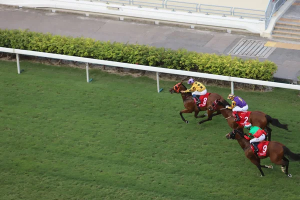 bir gün zaman mutlu Valley Racecourse h