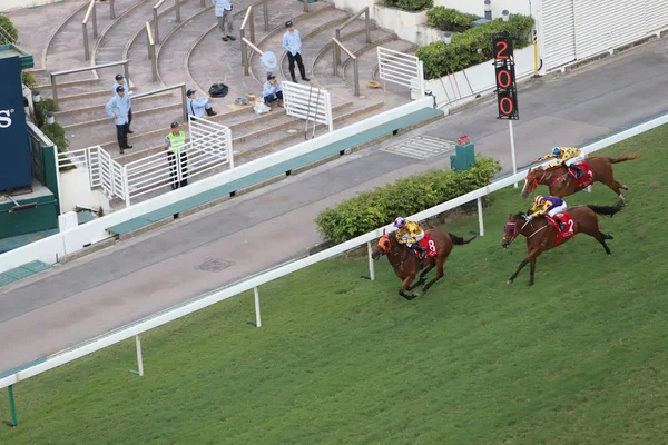 bir gün zaman mutlu Valley Racecourse h