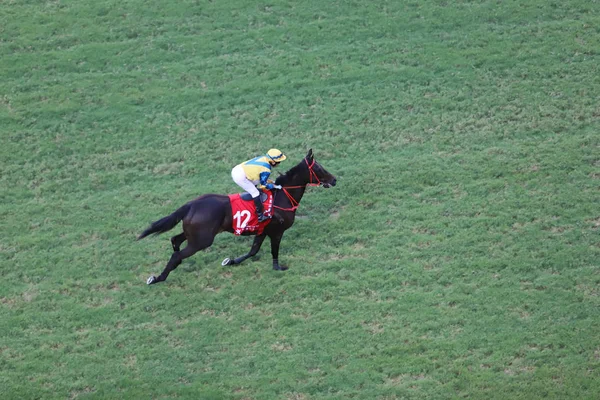 Galopp Happy Valley Racecourse — Stockfoto