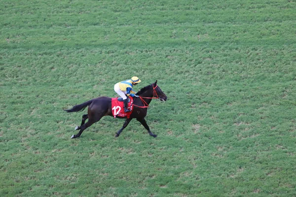 Corrida Cavalos Happy Valley Racecourse — Fotografia de Stock