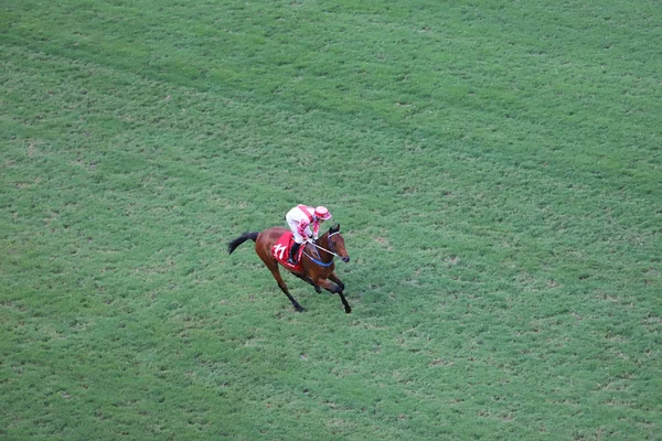 Carreras Caballos Hipódromo Happy Valley —  Fotos de Stock