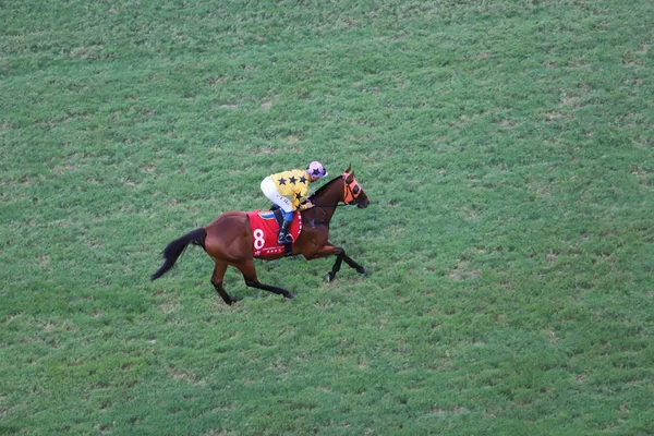 Corrida Cavalos Happy Valley Racecourse — Fotografia de Stock