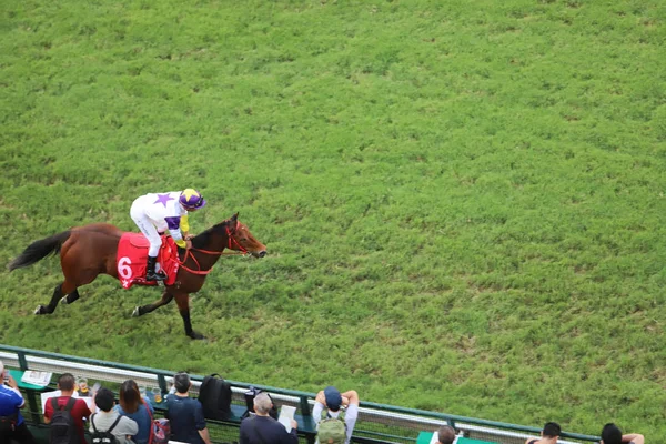 Corrida Cavalos Happy Valley Racecourse — Fotografia de Stock