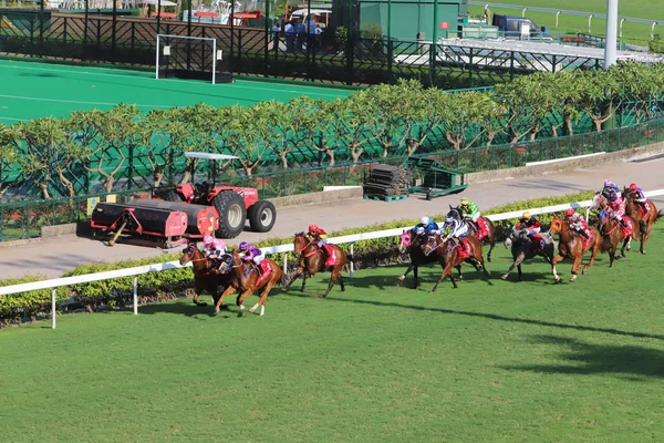 Giornata Corse Happy Valley Campo Corsa — Foto Stock