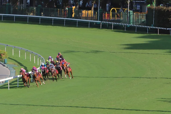 Happy Valley Yarış sahasında yarış günü 