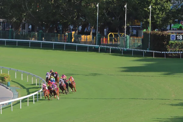 Happy Valley Yarış sahasında yarış günü 