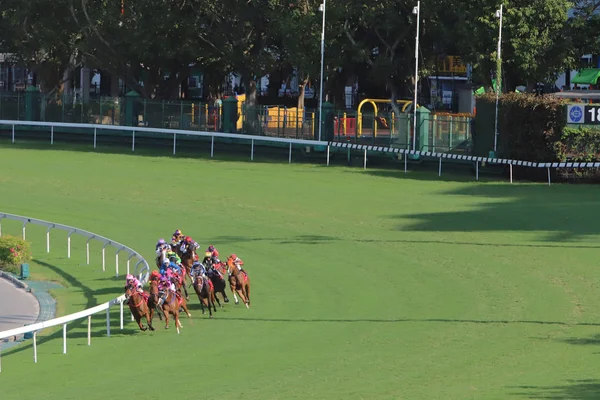Happy Valley Yarış sahasında yarış günü 