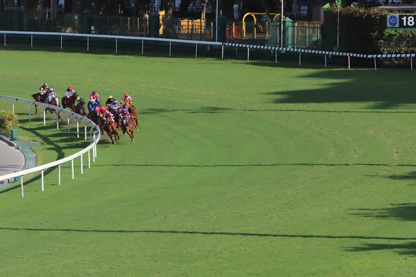 Happy Valley Yarış sahasında yarış günü 