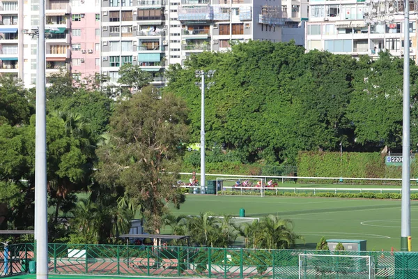 mutlu vally at yarış pisti görünümünü