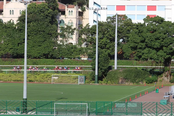mutlu vally at yarış pisti görünümünü