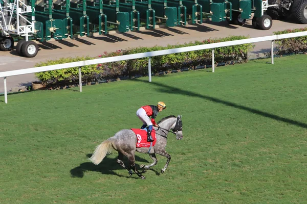 Pista Corrida Cavalos Happy Valley Hong Kong China — Fotografia de Stock