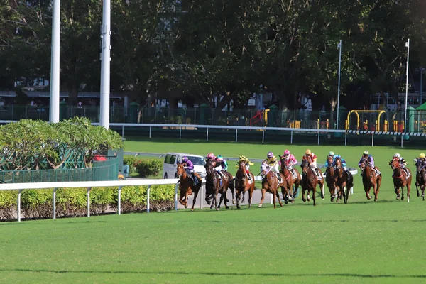 Paardenrennen Happy Valley Race Veld — Stockfoto