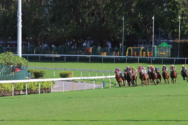 Paardenrennen Happy Valley Race Veld — Stockfoto