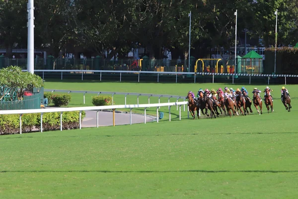 Corse Cavalli Happy Valley Campo Corsa — Foto Stock