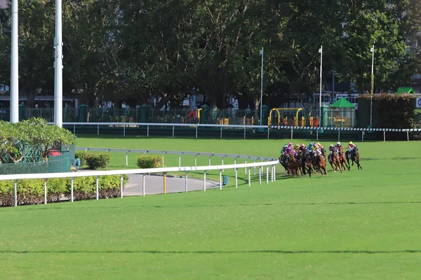 Corse Cavalli Happy Valley Campo Corsa — Foto Stock