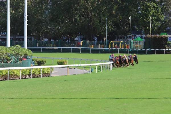 Course Chevaux Dans Champ Course Happy Valley — Photo