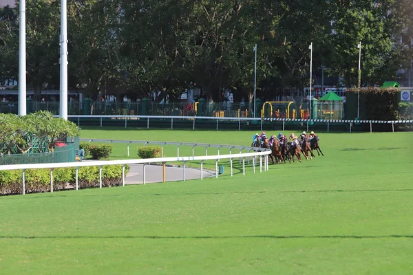 Paardenrennen Happy Valley Race Veld — Stockfoto