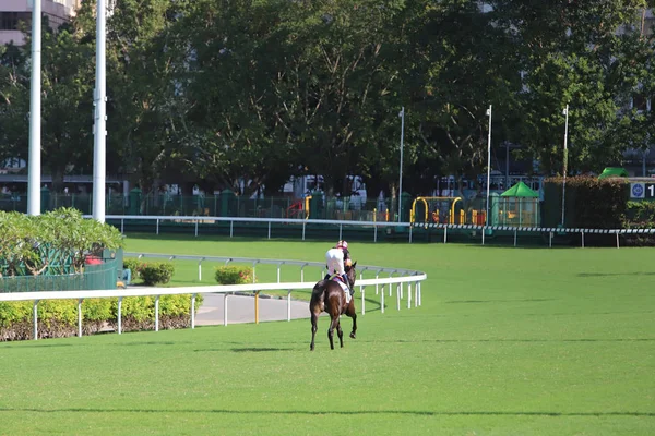 Hongkong Toru Wyścigów Konnych Happy Valley — Zdjęcie stockowe