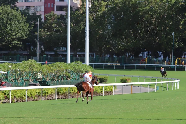 Hongkong Toru Wyścigów Konnych Happy Valley — Zdjęcie stockowe