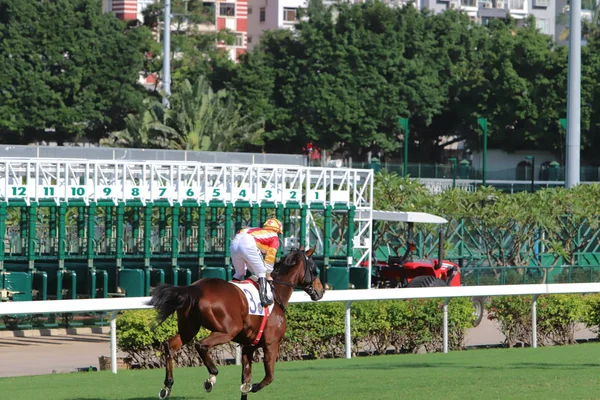 Uma Pista Corrida Happy Valley Cavalo Hong Kong — Fotografia de Stock