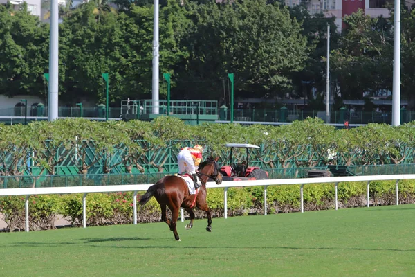 Happy Valley Horse Track Hong Kong — стоковое фото