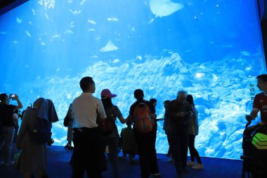  insanlar büyük akvaryum Tema Parkı ziyaret