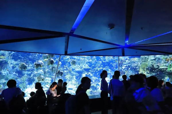 Mensen Een Bezoek Aan Grote Aquarium Attractiepark — Stockfoto