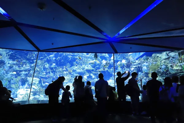 Persone Che Visitano Grande Acquario Nel Parco Tema — Foto Stock