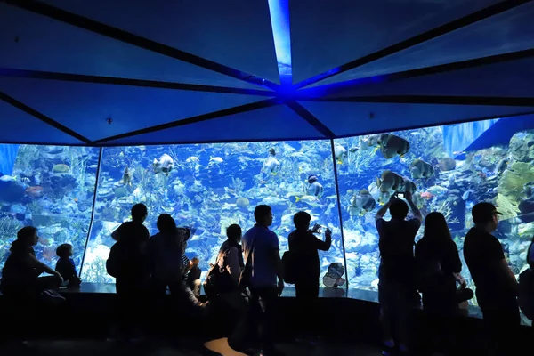 Menschen Besuchen Das Große Aquarium Freizeitpark — Stockfoto