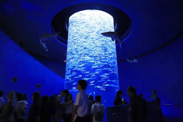 Menschen Besuchen Das Große Aquarium Freizeitpark — Stockfoto