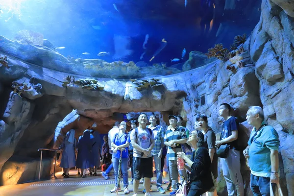 Osoby Odwiedzające Duże Akwarium Parku Rozrywki — Zdjęcie stockowe