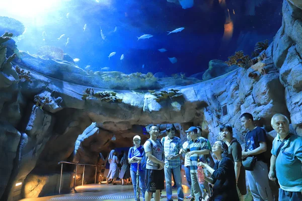 People Visiting Large Aquarium Theme Park — Stock Photo, Image