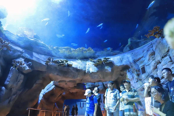 Mensen Een Bezoek Aan Grote Aquarium Attractiepark — Stockfoto