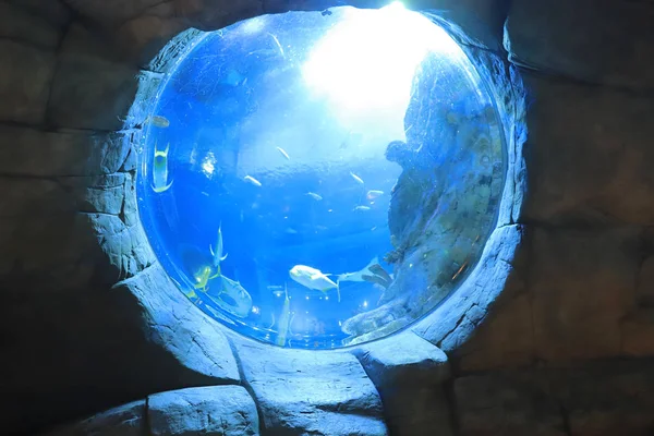 Ein Großes Aquarium Vergnügungspark Hongkong — Stockfoto