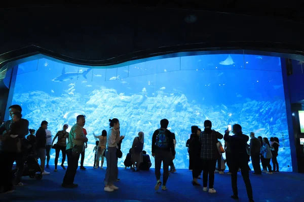 Menschen Besuchen Das Große Aquarium Freizeitpark — Stockfoto