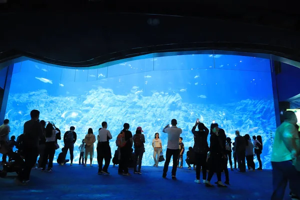 テーマパークでは 大規模な水族館を訪れる人々 — ストック写真