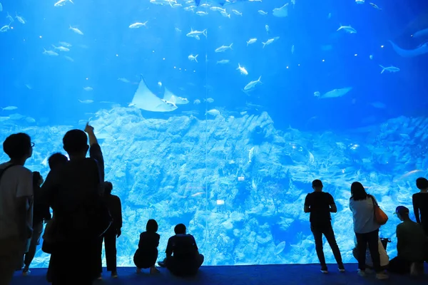 Persone Che Visitano Grande Acquario Nel Parco Tema — Foto Stock