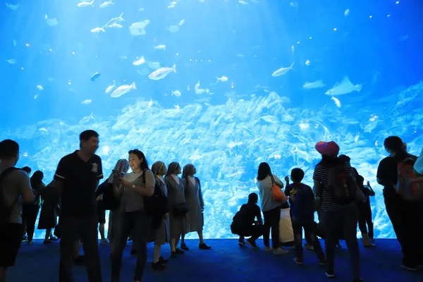 Mensen Een Bezoek Aan Grote Aquarium Attractiepark — Stockfoto