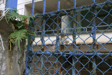 Polis çeyrek 2009 hk evli.