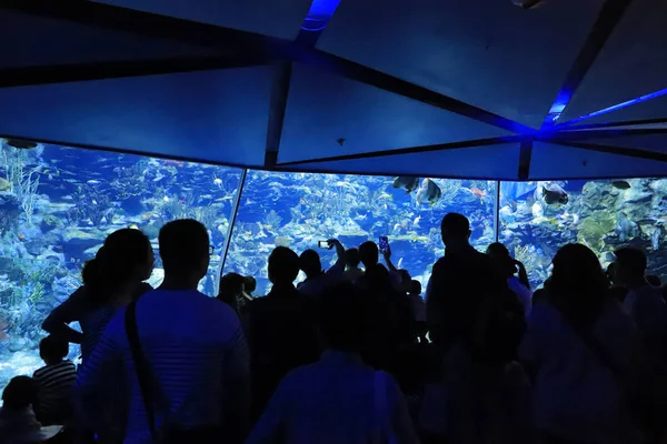 People Visiting Large Aquarium Theme Park — Stock Photo, Image