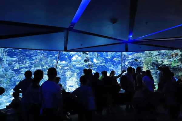 Mensen Een Bezoek Aan Grote Aquarium Attractiepark — Stockfoto