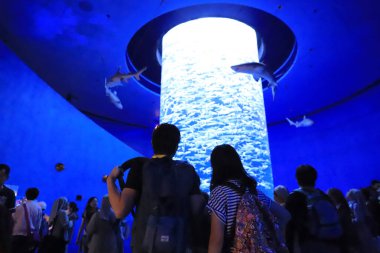  insanlar büyük akvaryum Tema Parkı ziyaret