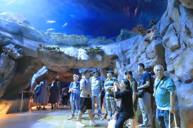  insanlar büyük akvaryum Tema Parkı ziyaret