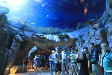  insanlar büyük akvaryum Tema Parkı ziyaret