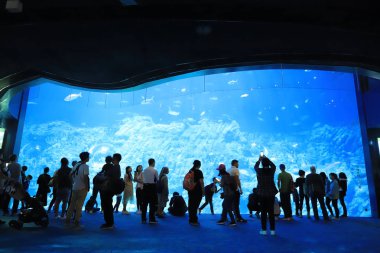  insanlar büyük akvaryum Tema Parkı ziyaret