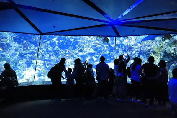  insanlar büyük akvaryum Tema Parkı ziyaret