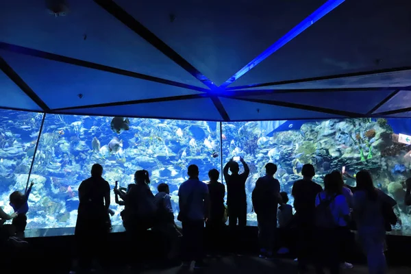  insanlar büyük akvaryum Tema Parkı ziyaret