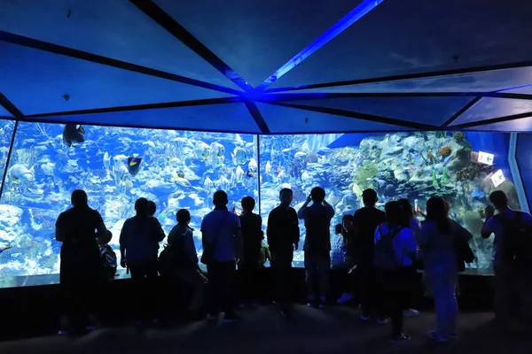 People Visiting Large Aquarium Theme Park — Stock Photo, Image